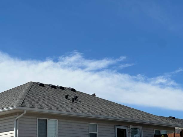 Best Cold Roofs  in Glouster, OH